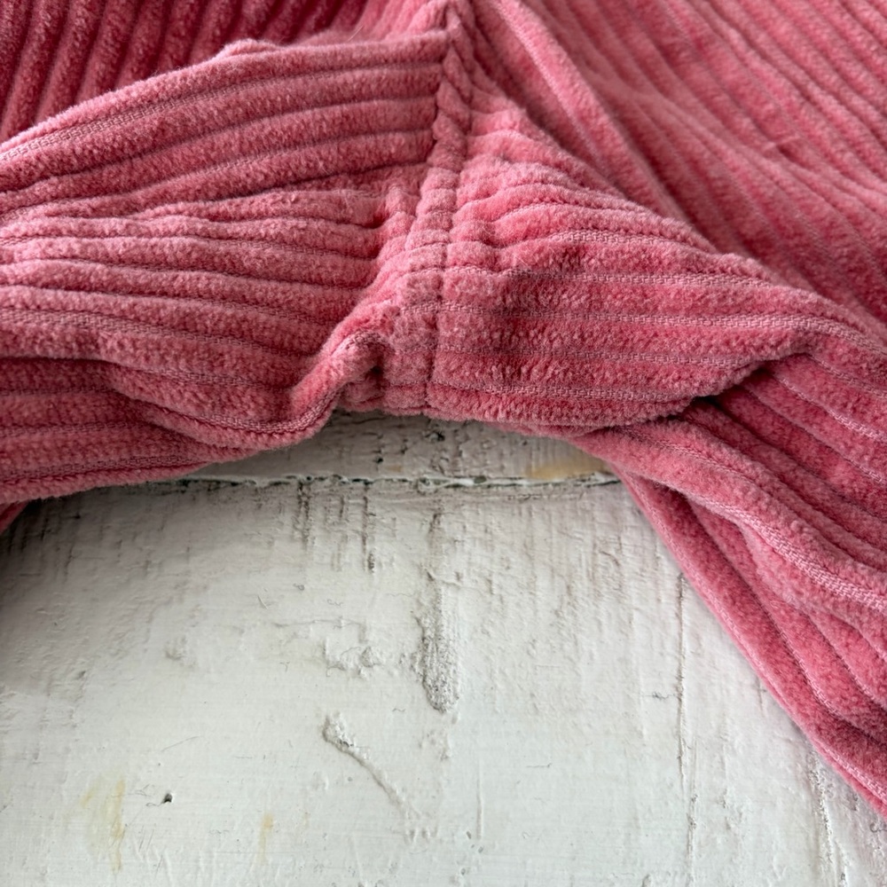 Rowing Blazers x Target size 6 Pink Corduroy Ankle Pants Pleated Wide Wale - Picture 5 of 12